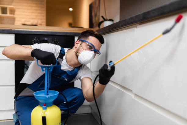 Reliable Blackfoot, ID Pest Control Solutions