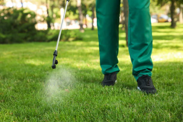Best Flea Control Services  in Blackfoot, ID