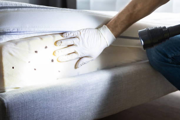 Pest Control for Restaurants in Blackfoot, ID