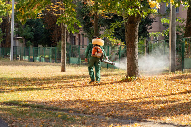 Best Commercial Pest Control Services  in Blackfoot, ID