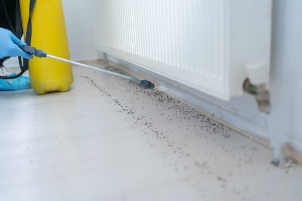 Best Best Pest Control Companies  in Blackfoot, ID
