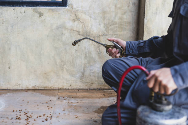 Best Wasp Removal Services  in Blackfoot, ID